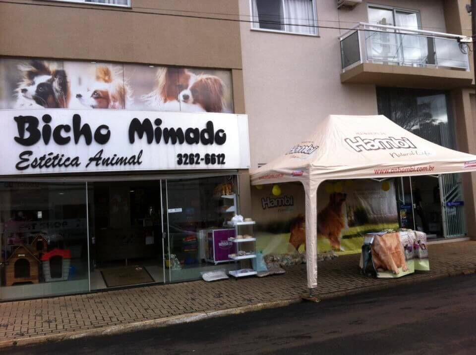 Foto bicho mimado palmas comprimida.jpg